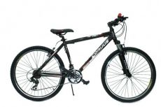 Велосипед Corvus GW-10В217 (2012)