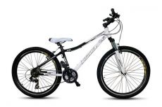 Велосипед Corvus GW-10B213 (2012)