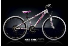 Велосипед Cube Team Kid 240 Girl (2010)