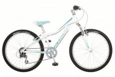 Велосипед Giant Areva 2 24 (2012)