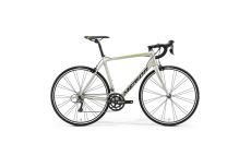 Велосипед Merida Scultura Rim 100 SilkTitan/Black/Green 2021