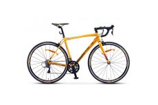 Велосипед Stels XT300 V010 Золотистый/Чёрный 28 (LU093424)